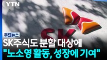 SK주식도 분할 대상에..."노소영 활동, 성장에 기여" / YTN