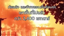 ไฟป่าลุกลามทั่วฝรั่งเศส–สเปนหลายหมื่นคนเร่งอพยพ | PPTV Online