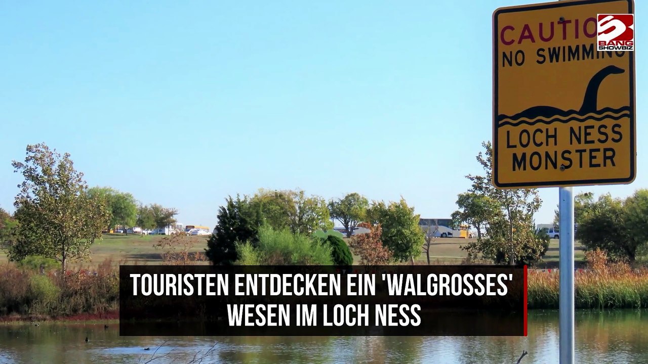 Touristen entdecken ein 'walgroßes' Wesen im Loch Ness