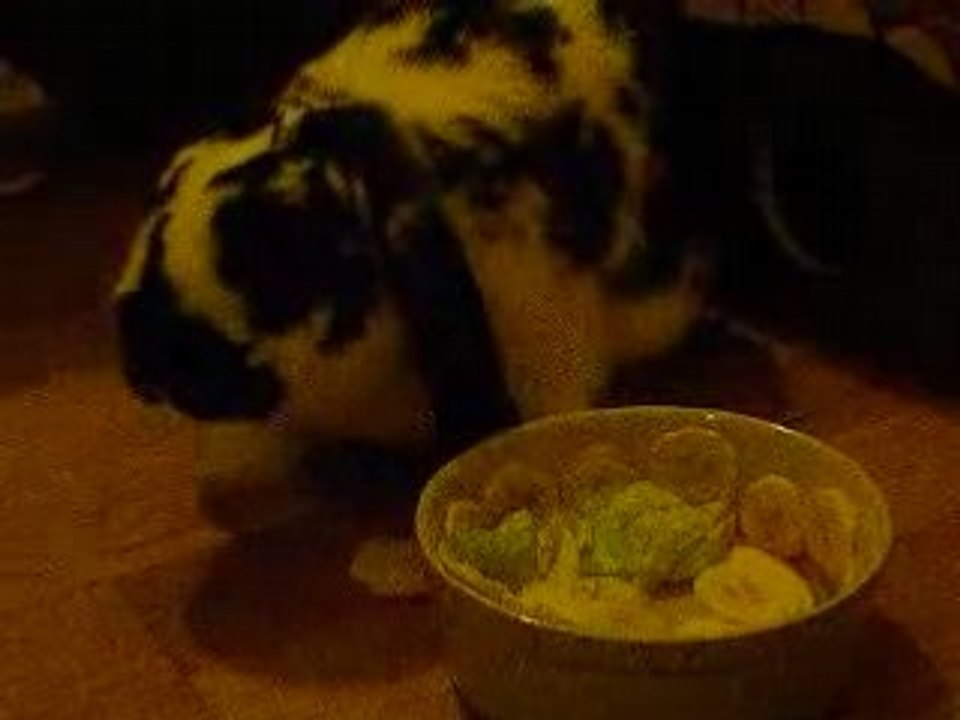 Happy Birthday Obi Wan (2)