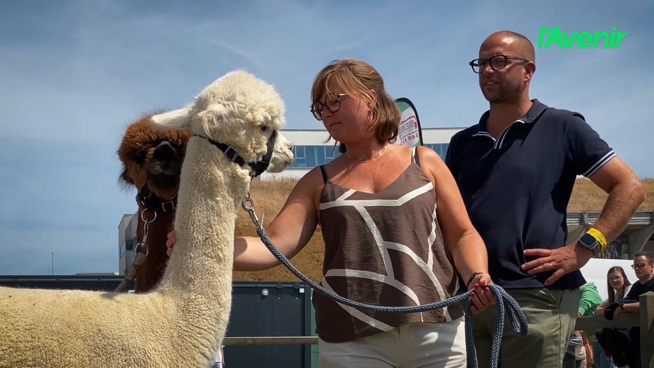 La Ferme enchanté, l'un des passages incontournables de la 100e Foire de Libramont
