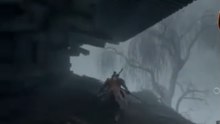 Sekiro VS Noble de la niebla