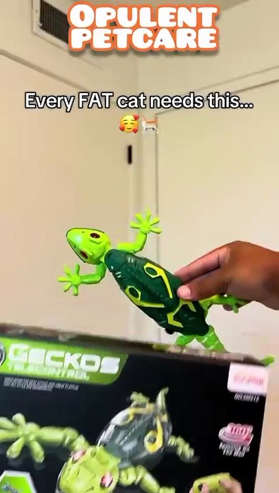 Electric RC Wall-Climbing Lizard & Chameleon Cat Toy – Remote Control Crawling Reptile That Climbs Walls & Ceilings