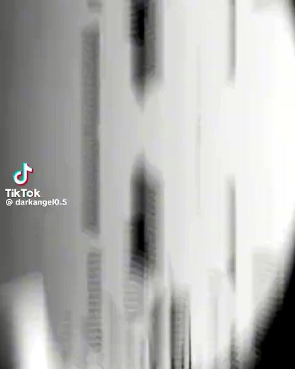 Funny videos 📸