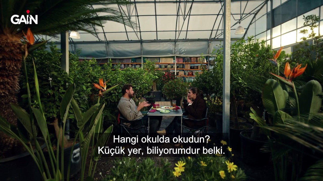 İlk Aşkın Tohumları (2026)