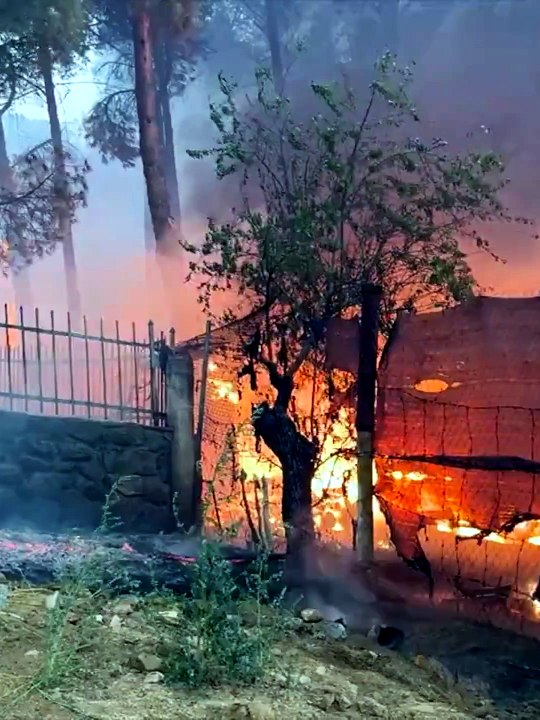 Incendios mudo
