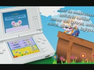 Passeport, cahier de vacances, sur Nintendo DS !