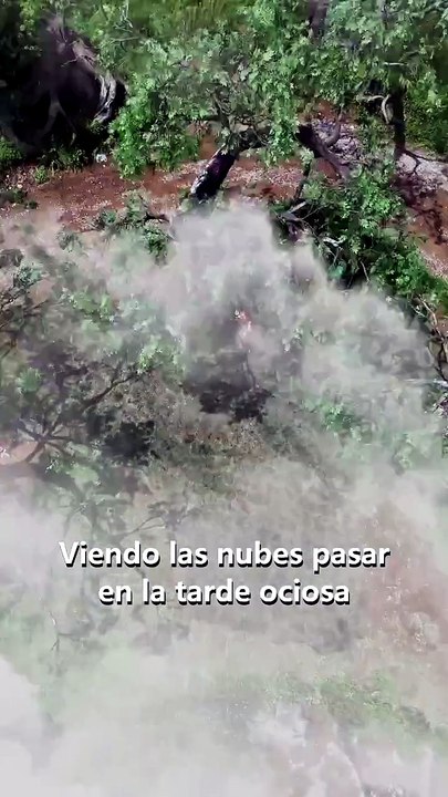 Dios rebelde en cuerpo infantil En Español