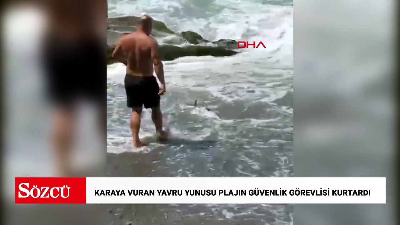 Karaya vuran yavru yunusu plajın güvenlik görevlisi kurtardı