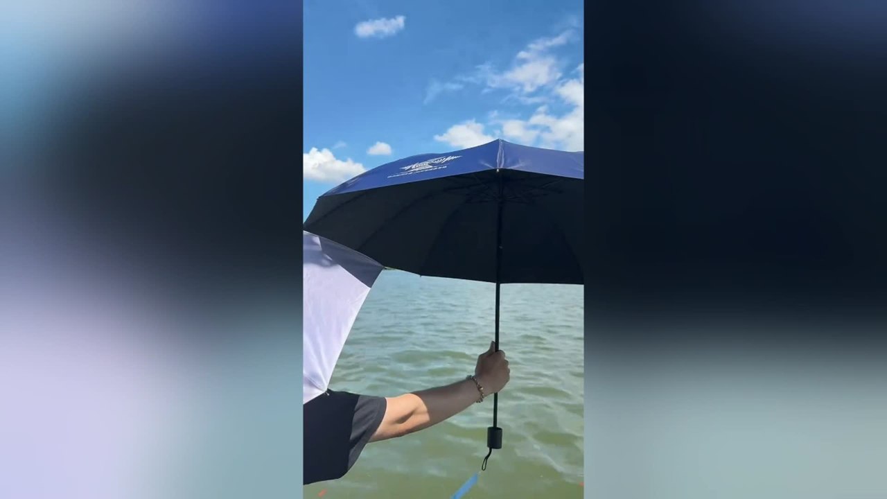 Fish Huddle Under Umbrella to Escape 40°c Heatwave