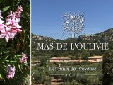 Mas de l'Oulivié - Hôtel - Baux de Provence - Alpilles