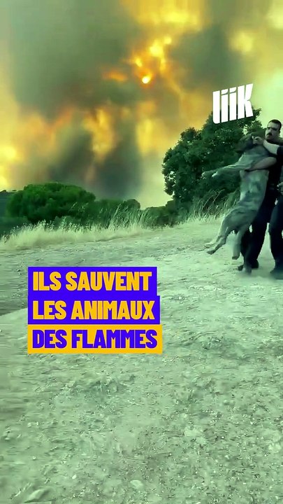 Ils sauvent les animaux des flammes