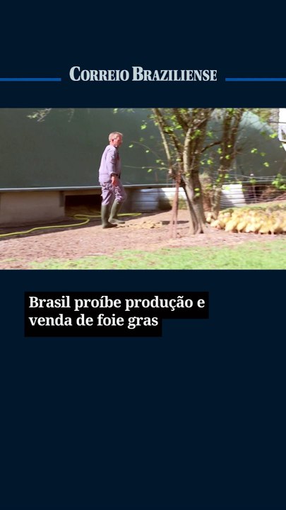 Brasil proíbe produção e venda de foie gras
