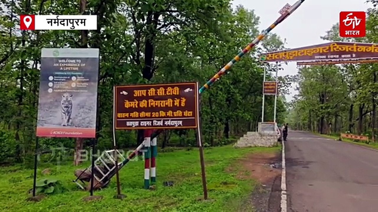 STR एरिया में विशेष स्टिक से की जा रही मानसून गस्त, हल्का इलेक्ट्रिक शॉक, लाइट जैसी हैं कई खूबियां