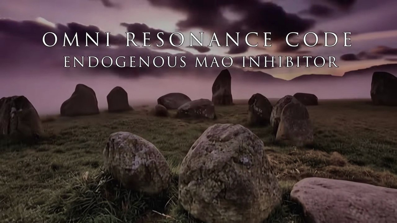The Template - OMNI RESONANCE CODE - Part 1