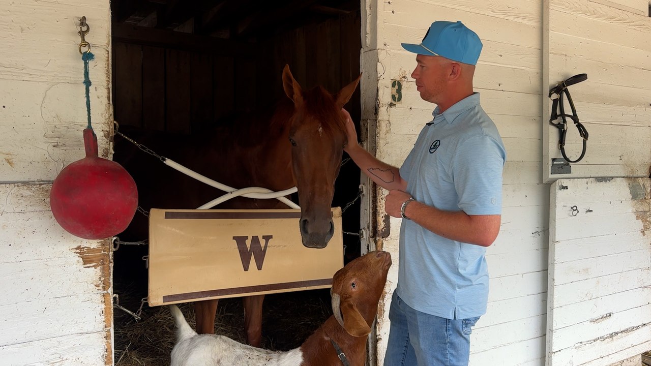 Down the Shedrow with Will Walden
