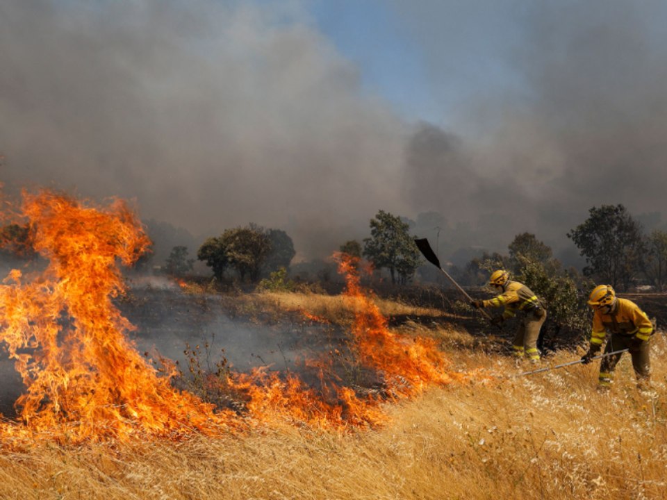 Los incendios en España en Madrid y Ávila dejan al menos 60.000 afectados