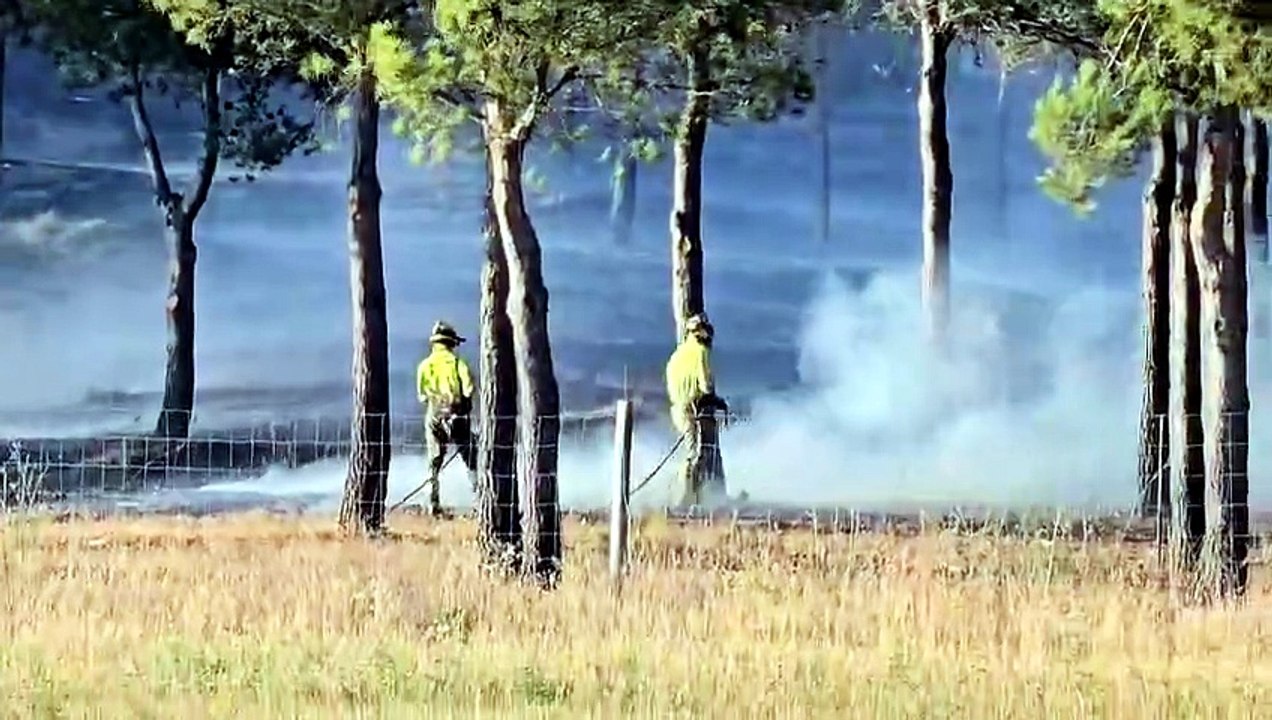 Fuego en Santovenia de Pisuerga en Valladolid