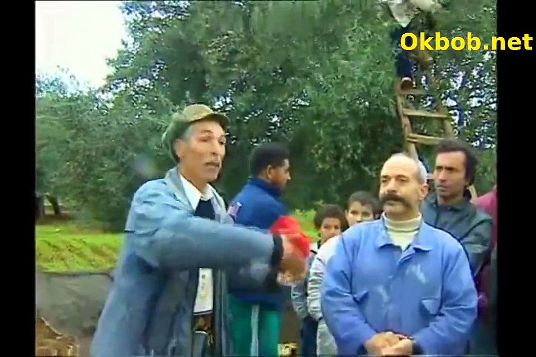 1998 - Récolte d'olives en Kabylie موسم الزيتون في منطقة القبائل، الجزائر