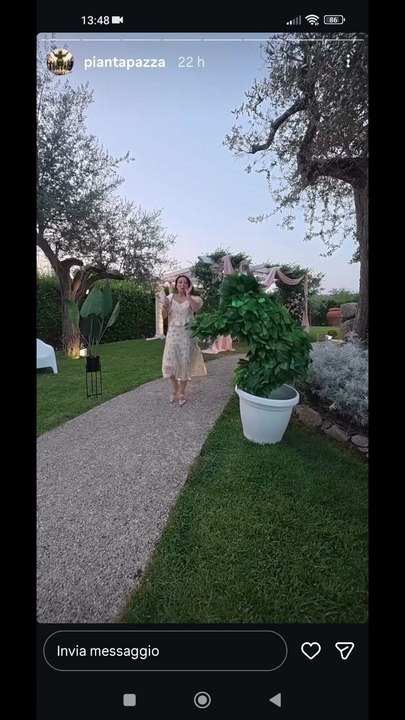 Pianta pazza story lo scherzo
