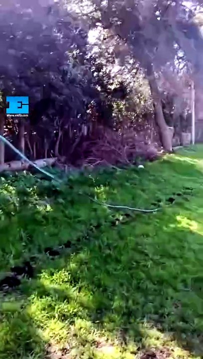 A plena luz del día entraron a robar al campo de deportes del club Asociación Iris en 143 y 517