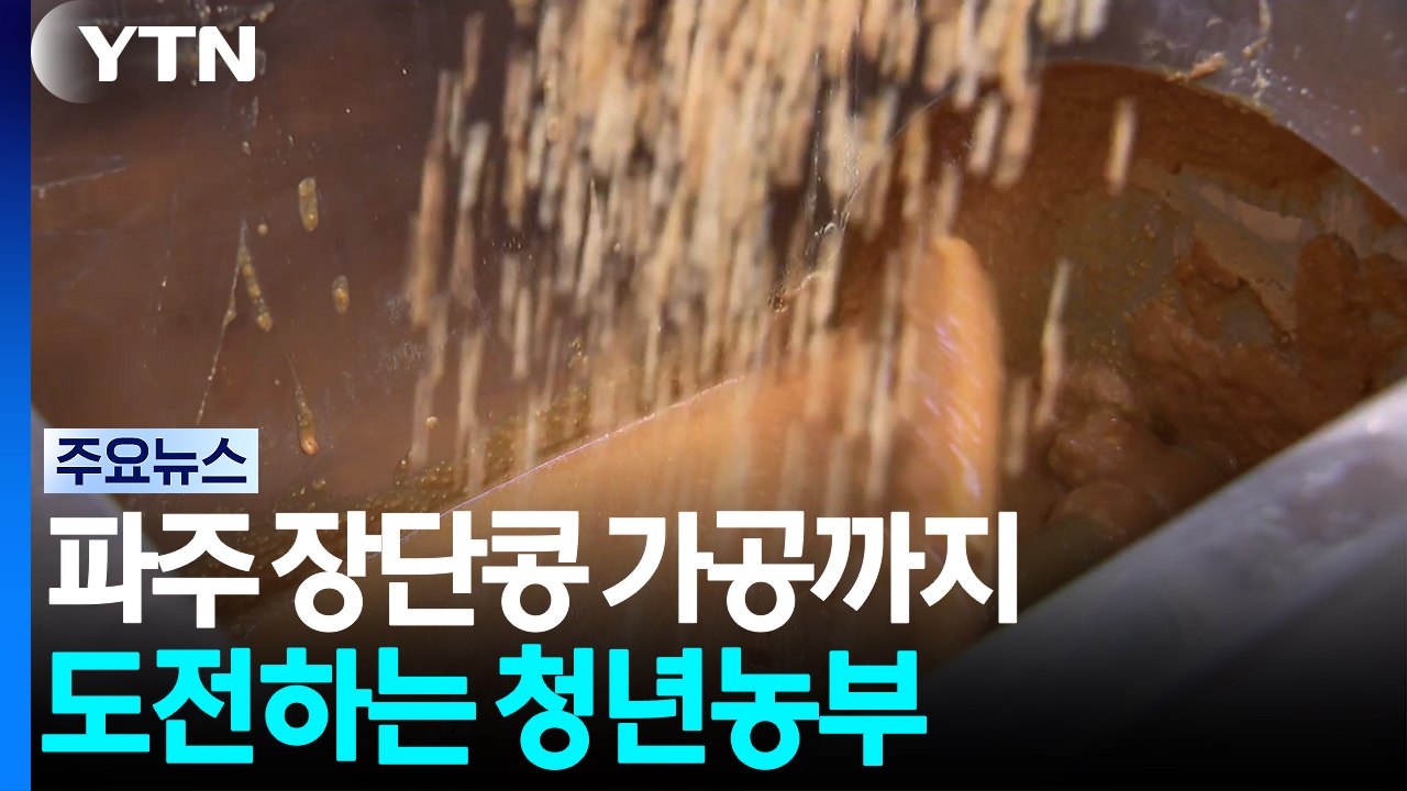 [청년농부] 파주 장단콩 가공까지 도전하는 청년농부 / YTN