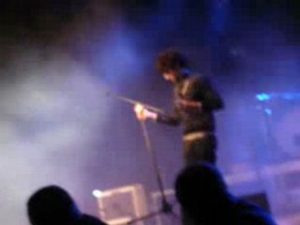 BB BRUNES