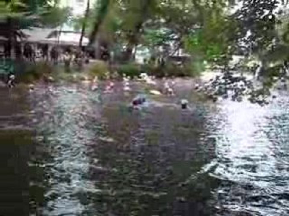 Big jump 2008 2ieme partie le drapeau