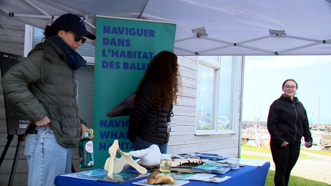 La campagne pour la protection du béluga du Saint-Laurent était de passage à Rivière-du-Loup