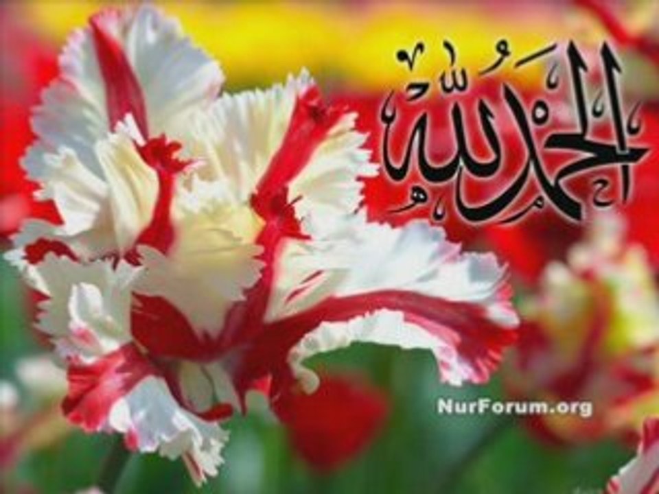 Grup Native(öz) Deen(din) - Alhamdulıllah