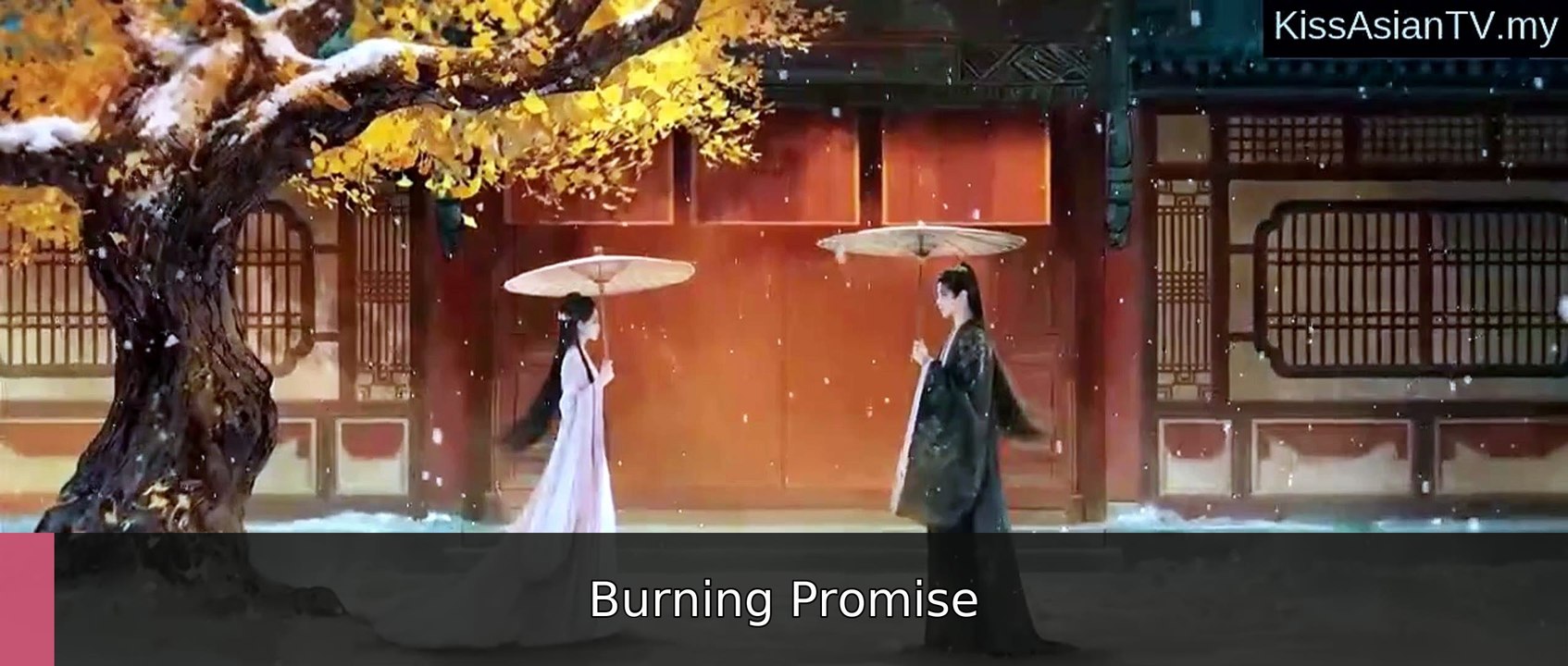 Blossoms of Power Ep 27 Burning Promise