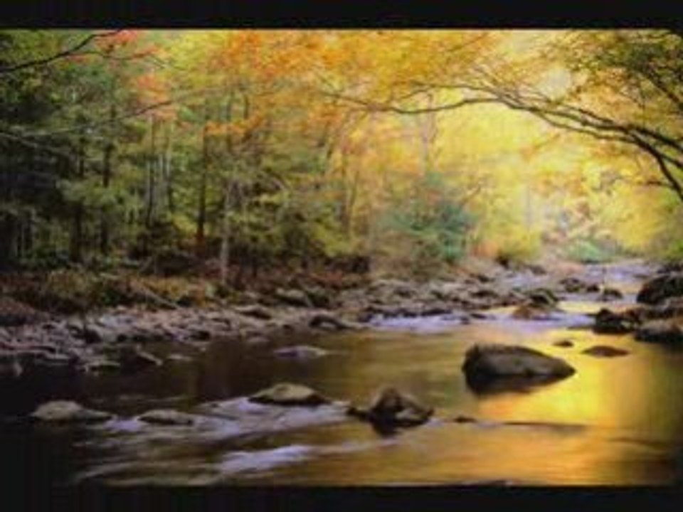 Conversation entre Mohamed Awadhi & Rashed affasyالله