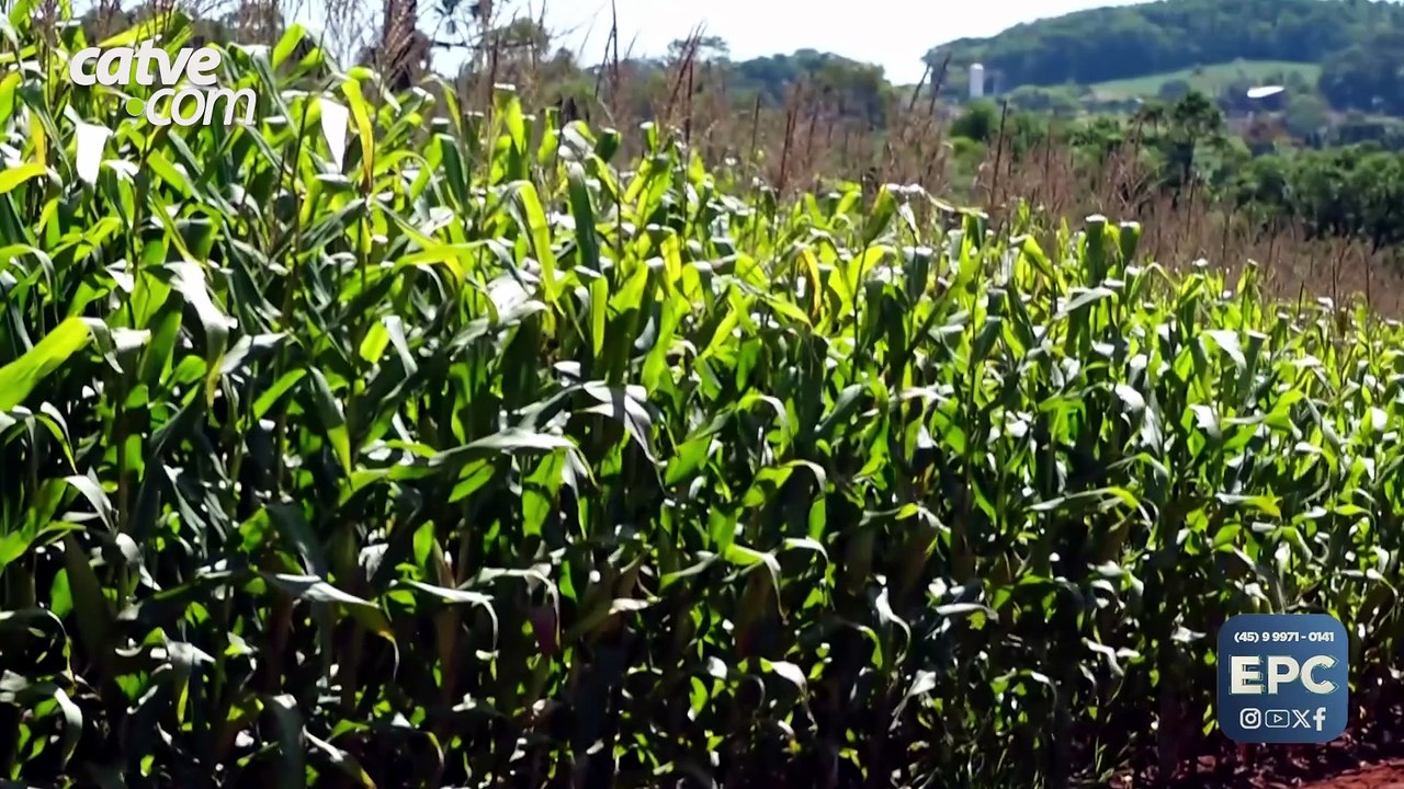 Governo adia prazo da reforma tributária para produtores rurais até 2027