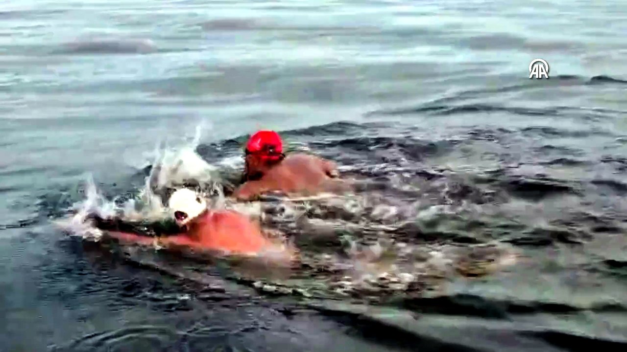 Otizmli ultra maraton yüzücüsü Tuna Tunca, Kuzey Kanalı'nı geçti | Ajansspor | AA