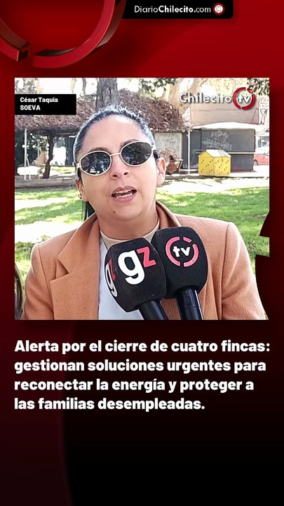 Con un cartón de $5.000 y grandes premios, invitan a colaborar con el refugio de animales en un bingo solidario.