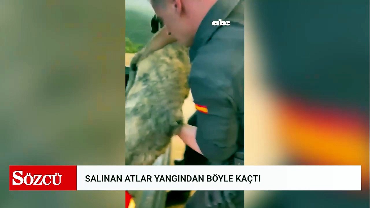 Salınan atlar yangından böyle kaçtı