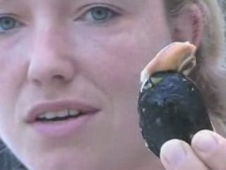 The Proper Way to Eat Mussels on Prince Edward Island