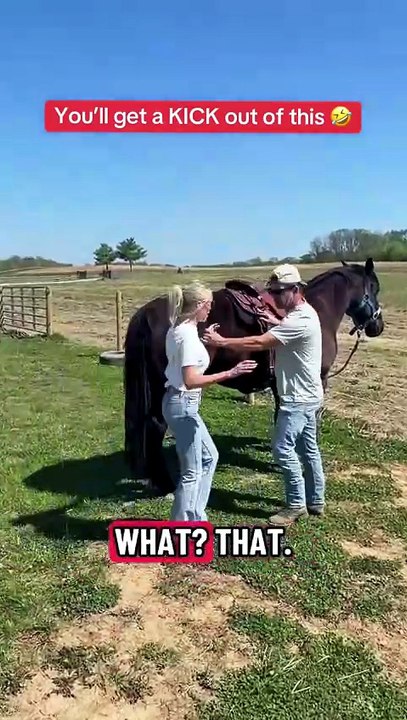Check out Cameo Fencing- The Safe Horse Fencing System ❤ #horse #electricfence #kick #fyp #funny
