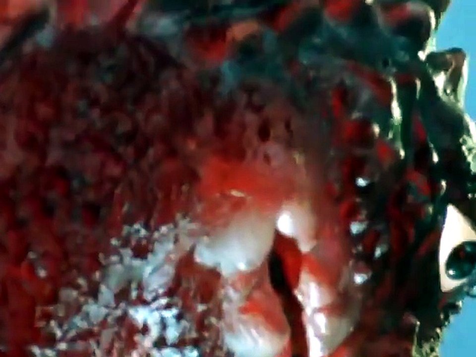 8 バドラの最後