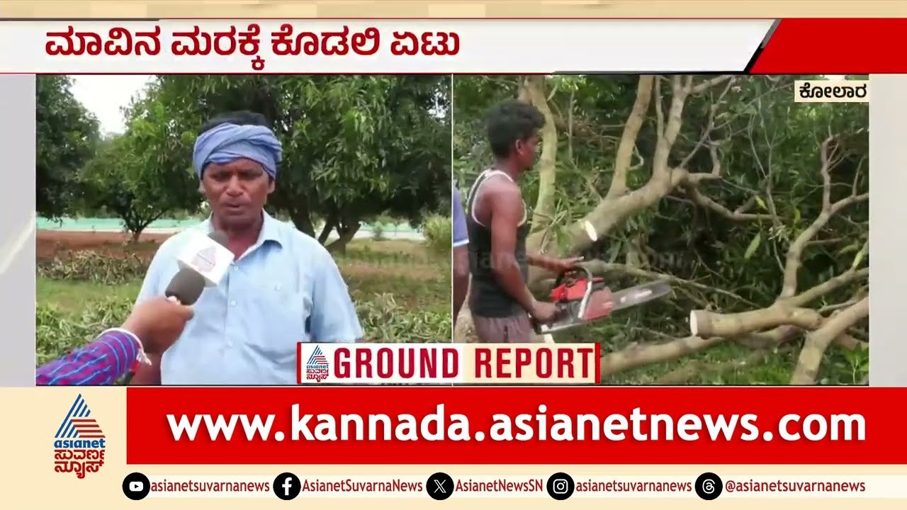 ಮಾವಿನ ಸಹವಾಸವೇ ಬೇಡ: ಬೆಲೆ ಇಲ್ಲದೆ ಮಗುವಿನಂತೆ ಸಾಕಿದ ಮರ ಕಡಿದ ರೈತ | Mango Farming Crisis | Suvarna News
