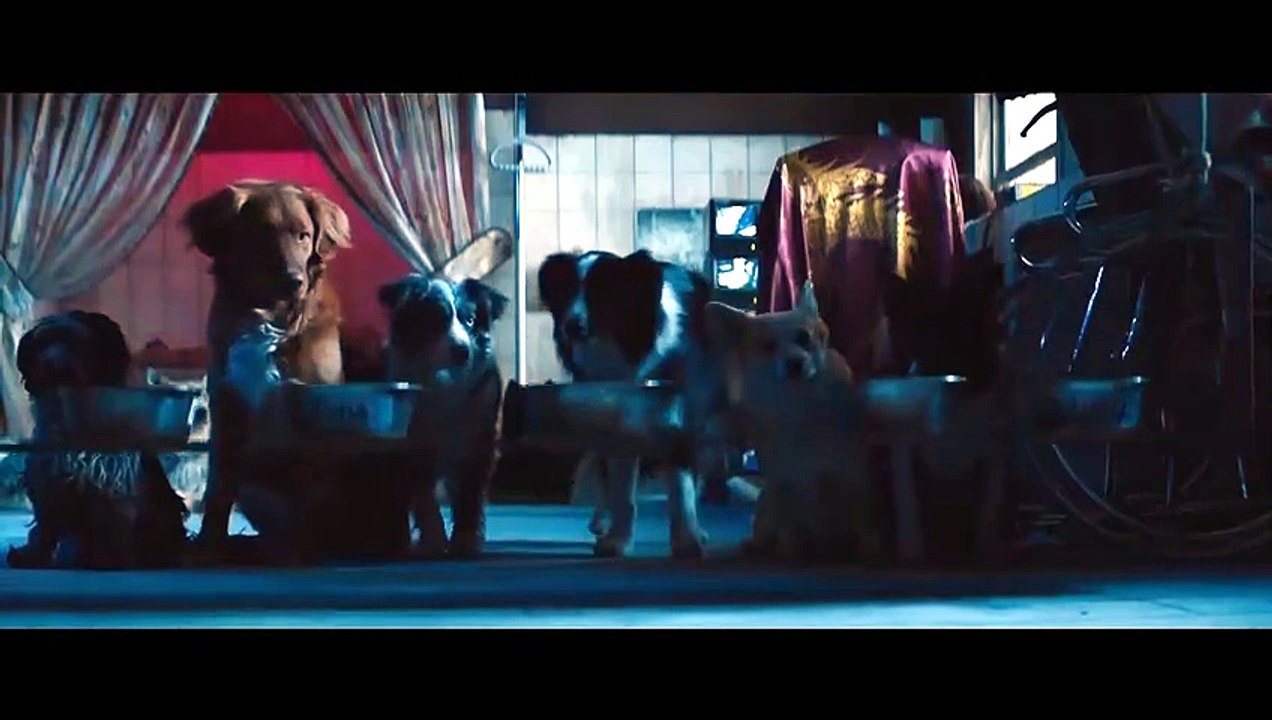 DOGMAN (2023) Bande Annonce VF - HD [Full Movie]