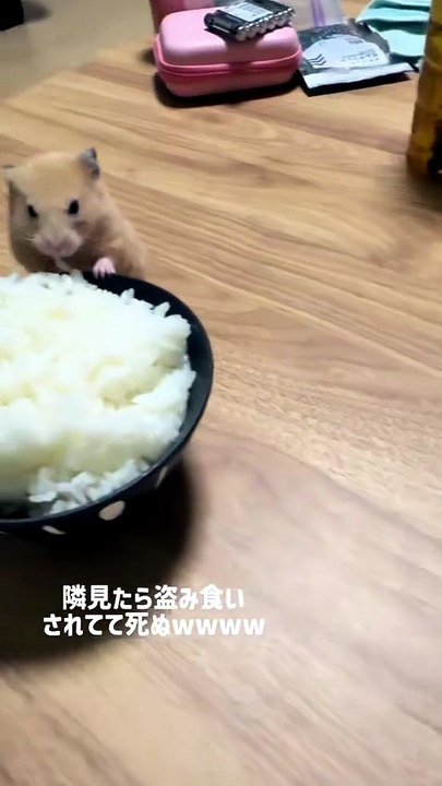 eat