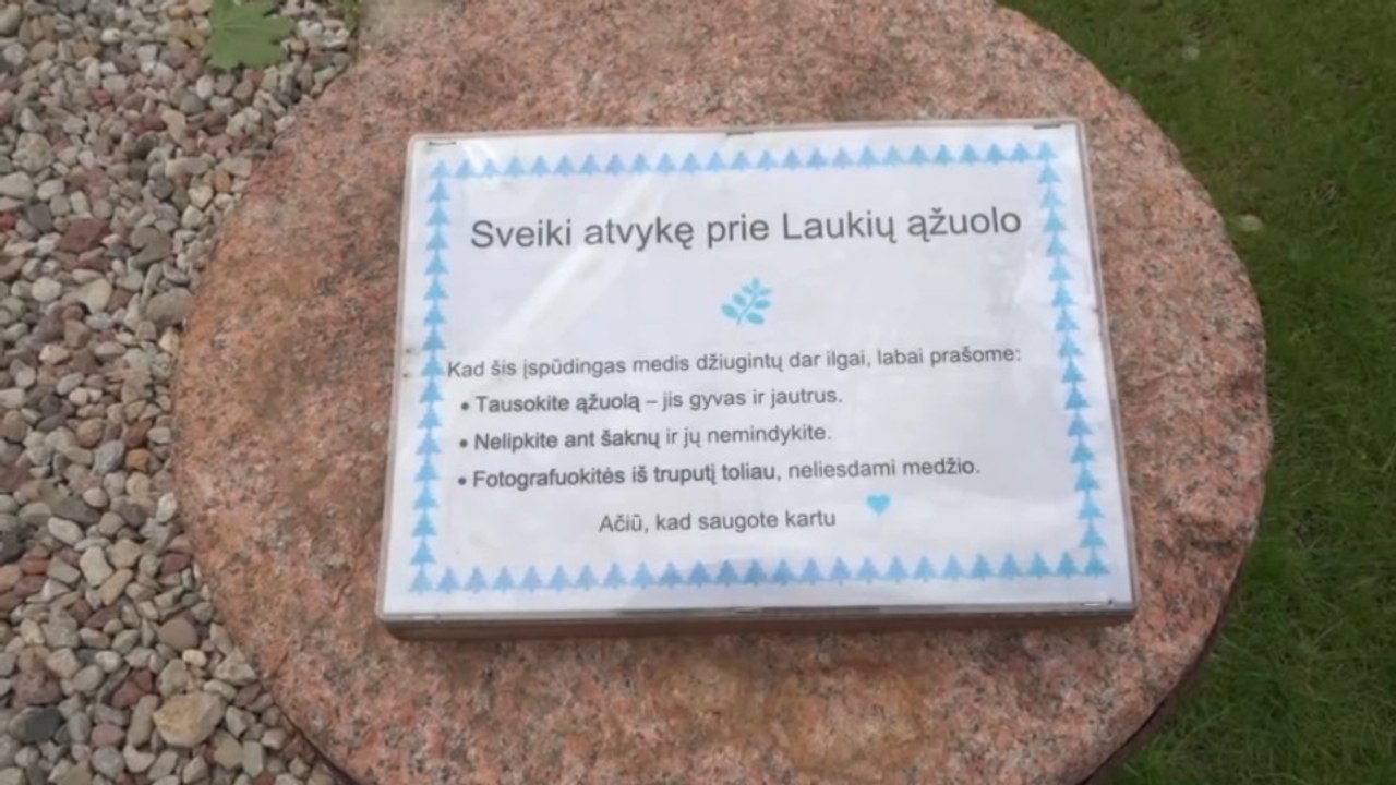 Laukių ąžuolas