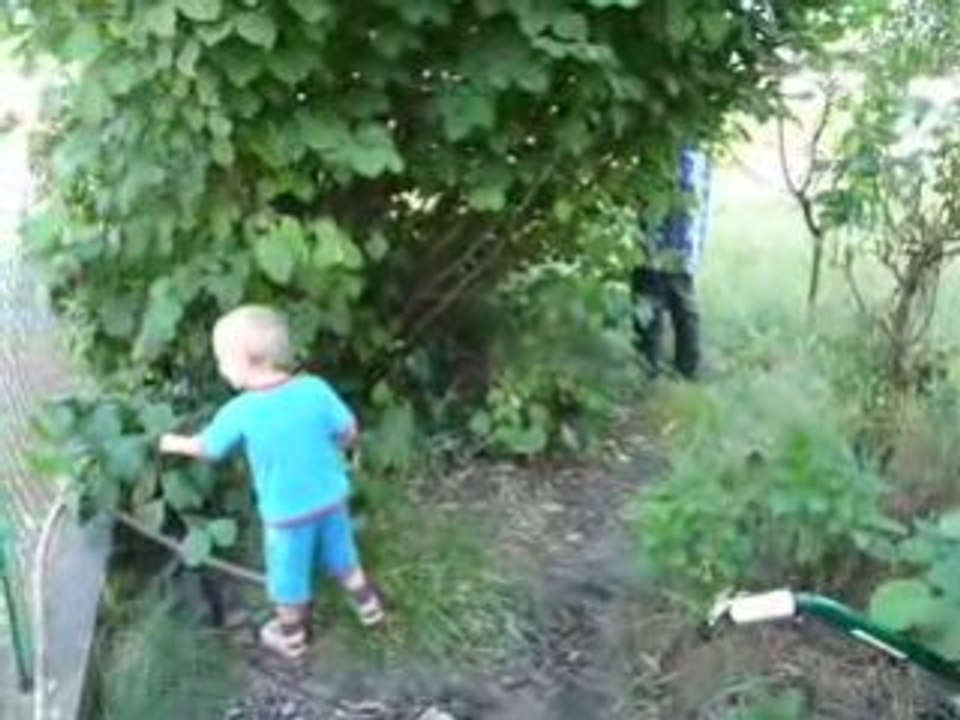 Jardinage