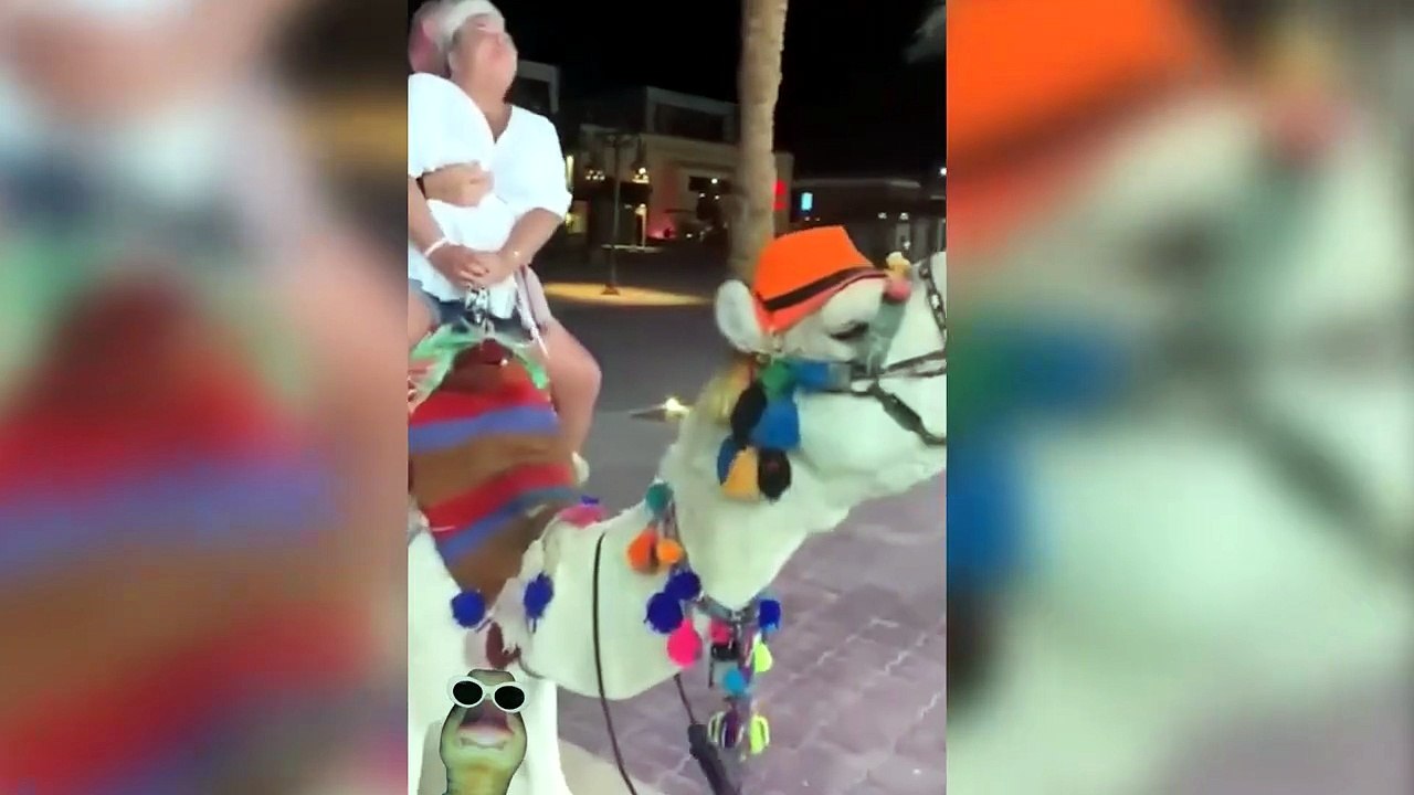 Funny, Fails and Hilarious Moments