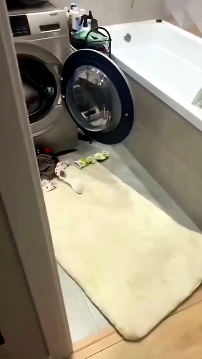 I thought I’d get the laundry done early this morning, but I ended up having to wait my turn because someone was working out in there. Unbelievable! 🤣