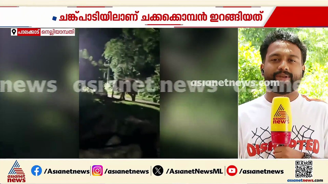 'ഒന്നും തോന്നല്ലേ മക്കളെ ചക്ക തിന്നാൻ വന്നതാണേ'; ജനവാസ മേഖലയിൽ ഇറങ്ങി ചക്കക്കൊമ്പൻ, ദൃശ്യങ്ങൾ