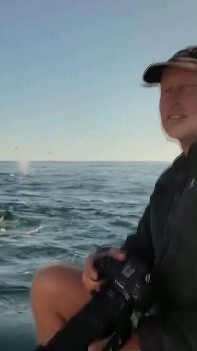 Humpback whales 'burp and fart all the time'