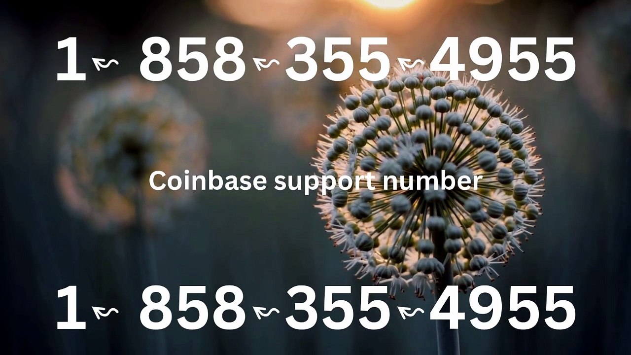 !!FAQ&!! 【Coinbase®】 {Help Desk Wallet SuppoRt}™ — Toll-Free Numbers & Support Options