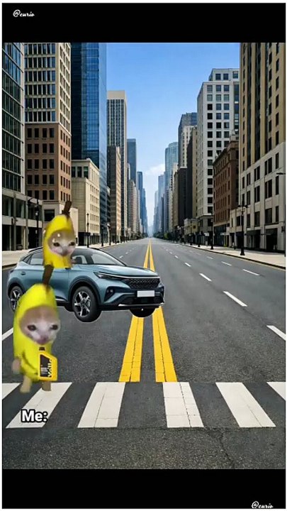 Extreme Sales Pitch Gone Right! 🚗💥 | Funniest Cat Meme Story